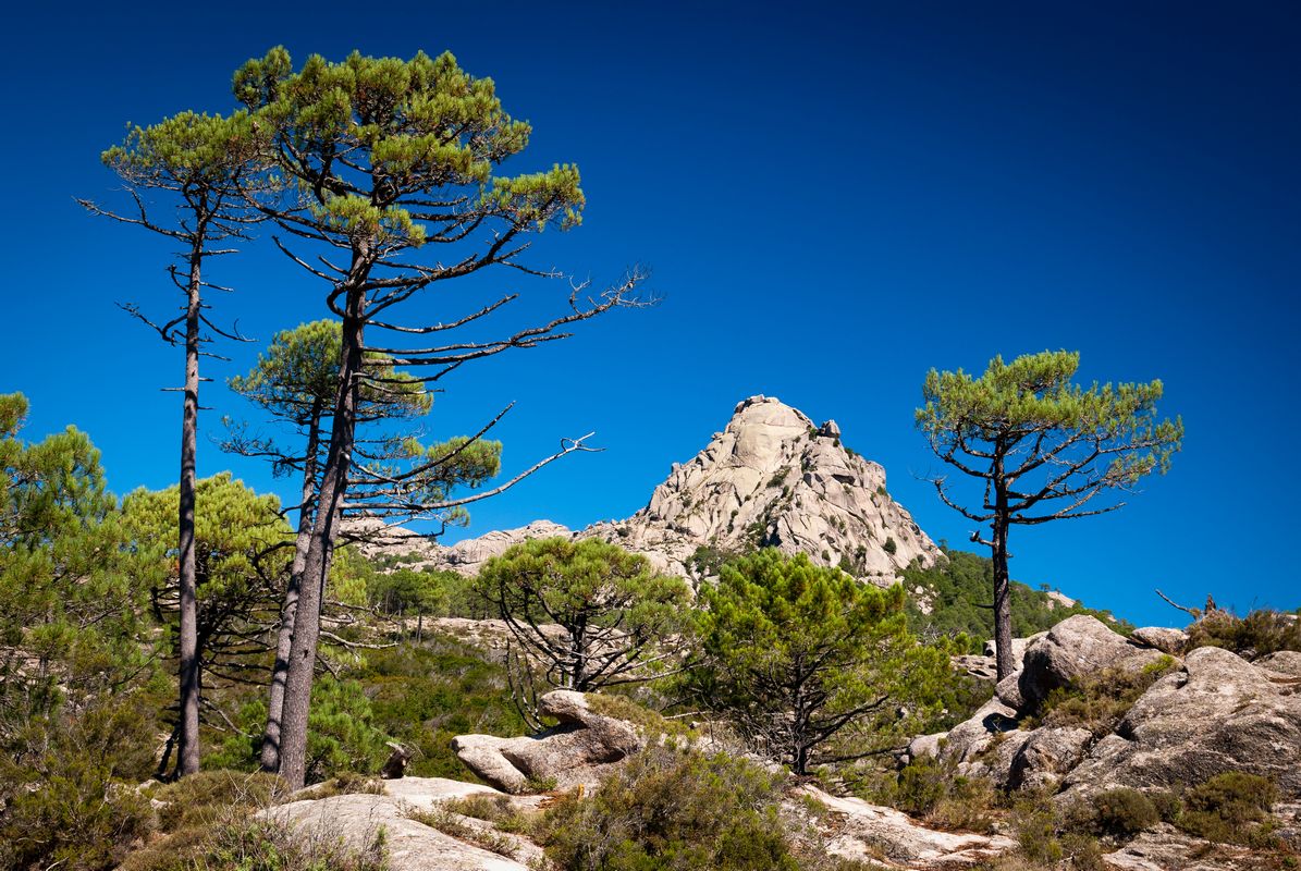 Le Tour de Corse à moto